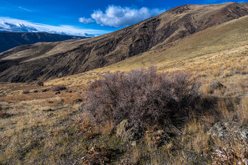 Mount Cleman, Waterworks Canyon Trail close to Naches, WA