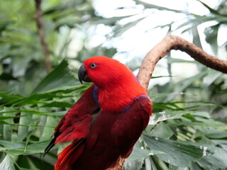 beautiful and colorful bird in sunny winter