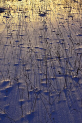 Winter snow-covered field in the rays of the setting sun