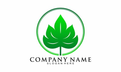 Elegant fresh hibiscus leaf vector logo