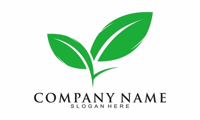 Elegant green leaf vector logo