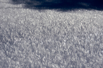 close up of frozen ice crystals in winter