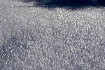 close up of frozen ice crystals in winter