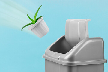 The plant in the pot goes in the trash