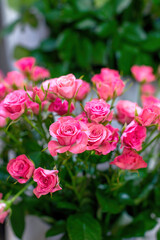 Floral business concept. Beautiful bouquet of small pink roses in flower shop for sale, closeup vertical view. Tea hybrid roses. Selective focus