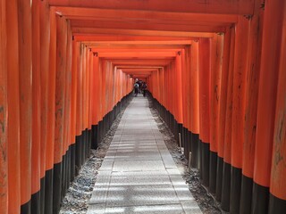 kyoto torii road