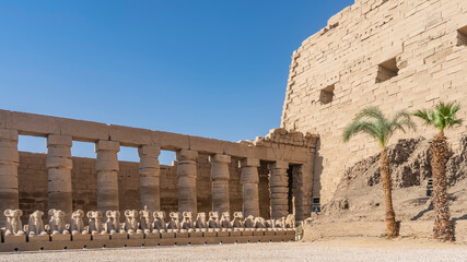 A number of sculptures of sphinx-rams stand against the background of an ancient colonnade in the Karnak temple of Luxor. Palm trees grow against the wall. Clear blue sky. Egypt