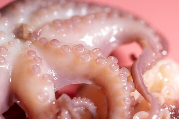 Close up of squid tentacles as background.