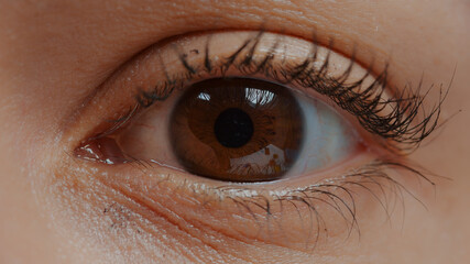 Woman with brown eye and eyelashes looking at camera. Human eye in extreme close up open with...