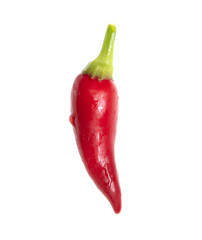 One red chili pepper isolated on a white background.