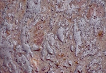 Bubbly brown textured background image