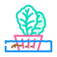 hydroponics agricultural plant color icon vector. hydroponics agricultural plant sign. isolated symbol illustration