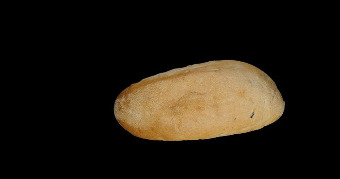 Freshly baked wheat bread, rotation around, alpha channel.