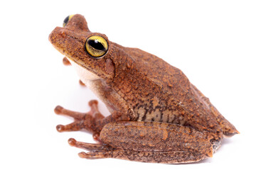 wild life photography