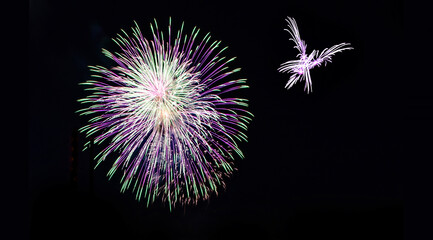 Fototapeta premium Happy New Year Beautiful Firework black background 