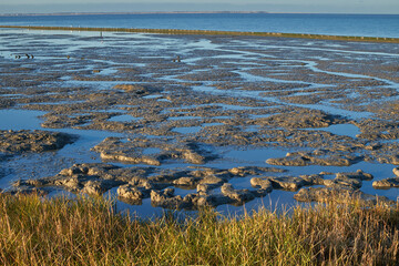 Abendstimmung im Wattenmeer, Ostfriesland