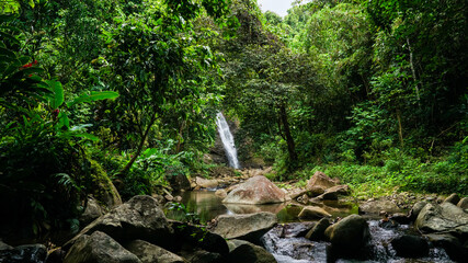 Fototapeta premium Jungle Waterfall