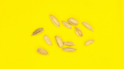 Orange seeds, photo on a yellow background