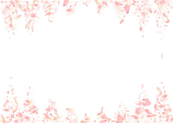 Fototapeta na wymiar Color Flower Petal Vector White Background.