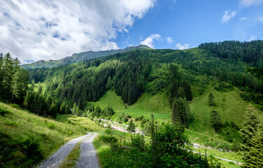 Fototapeta na wymiar Path through the green mountains