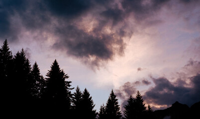Dramatic clouds above the forest