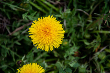 z podróży © RASSUMSEN
