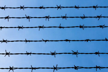 Barbed Wire