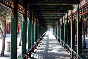 The Corridor