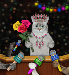 An ashen famous cat in a diadem and a pendant with a bouquet of  roses gives an interview to the press. - 477470472