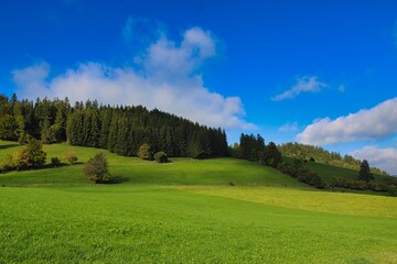 Beautiful green landscape in the German Allg&auml;u mountains