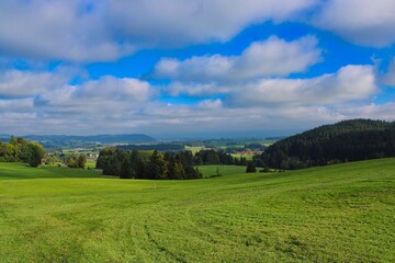 Obraz premium Beautiful green landscape in the German Allgäu mountains