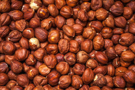 Peeled hazelnuts high resolution background