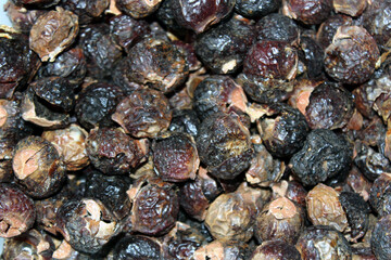 Sapindus mukorossi or Indian soapberry. Many soap nuts ready to be used in wash machine