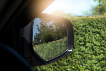 Transportation mirrror wing of car. ฺBeside road with view of green nature leaves of trees for use wall. with sunlight on the sky.