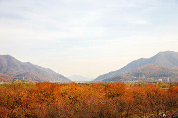 Naklejka premium 가을 산