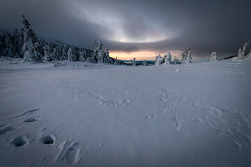 winter landscape in the mountains