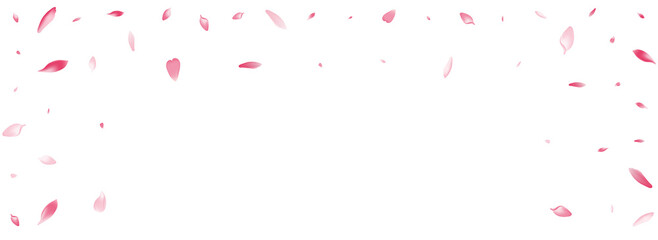 Pastel Cherry Petal Vector White Background. Pink