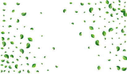 Green Greens Ecology Vector White Background.