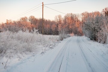 snowy  road in winter forest 