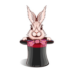 Fototapeta premium The rabbit jumps out of the magician's top hat