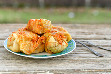 Cabbage rolls with meat, rice and vegetables. Stuffed cabbage leaves with  ground beef. Known as sarma, golubtsy, dolma.