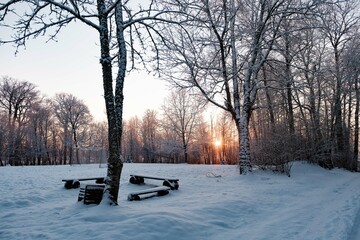 wooden bench in the snowy  park