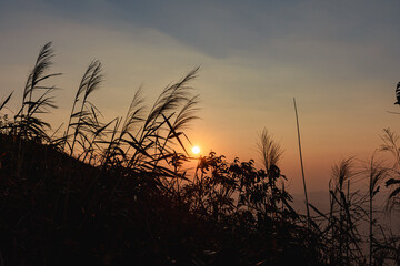 Grass flower in autumn. landscape of scenic mountain view during sunset twilight sky at Nern Chang Suk (Elephant Hills) E-Tong village, Pilok, Thong Pha Phum National Park, Kanchanaburi, Thailand