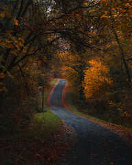 Autumn road 3