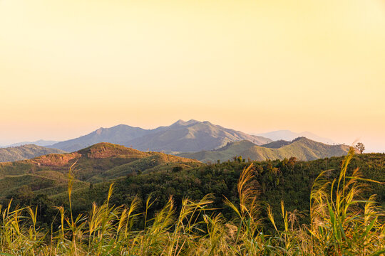 Grass flower in autumn. landscape of scenic mountain view during sunset twilight sky at Nern Chang Suk (Elephant Hills) E-Tong village, Pilok, Thong Pha Phum National Park, Kanchanaburi, Thailand