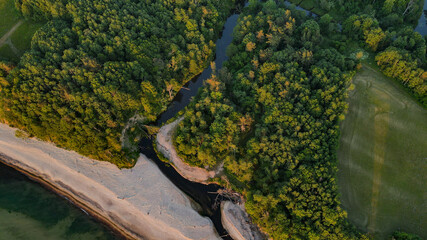 smal river going trough the green forest in summer