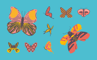 butterflies colored wings