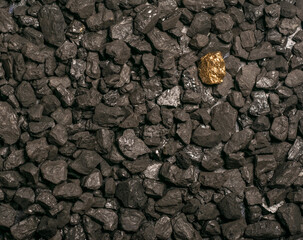 hard coal in the pile. a piece of gold among the coal. extracted underground.