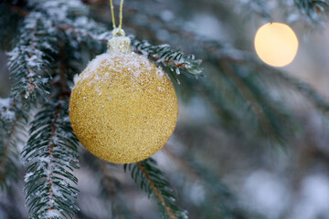 Gold Christmas ball hanging on a fir branch covered with snow and ice. New Year tree with...