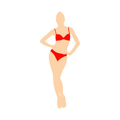 Beautiful girl model lingerie posing standing vector
